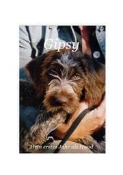 Cover von Gipsy - Mein erstes Jahr als Hund