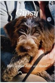 Cover von Gipsy - Mein erstes Jahr als Hund
