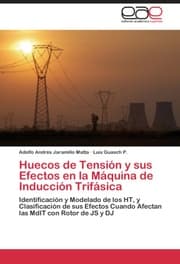 Cover von HUECOS DE TENSION Y SUS EFECTOS EN LA MAQUINA DE INDUCCION TRIFASICA
