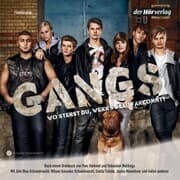 Cover von Gangs (Filmhörspiel)
