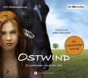 Cover von Ostwind