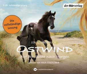 Cover von Ostwind - Auf der Suche nach Morgen