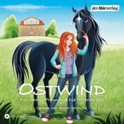 Cover von Ostwind - Für immer Freunde & Die rettende Idee