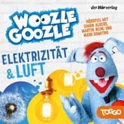 Cover von Woozle Goozle - Luft & Elektrizität