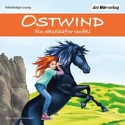 Cover von Ostwind - Ein rätselhafter Unfall