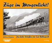Cover von Züge im Morgenlicht