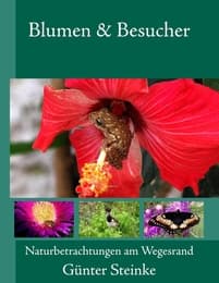 Cover von Blumen & Besucher
