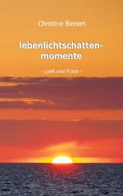Cover von lebenlichtschattenmomente