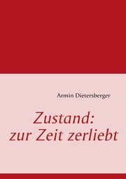Cover von Zustand: zur Zeit zerliebt