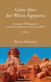 Cover von Geier über der Wüste Ägyptens
