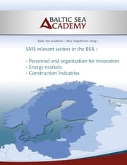 Cover von SME relevant sectors in the BSR
