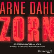 Cover von Zorn (Opcop-Gruppe 2)