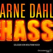 Cover von Hass (Opcop-Gruppe 4)