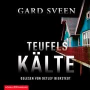 Cover von Teufelskälte (Ein Fall für Tommy Bergmann 2)