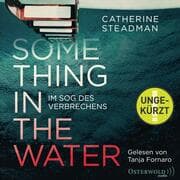Cover von Something in the Water - Im Sog des Verbrechens