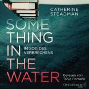 Cover von Something in the Water - Im Sog des Verbrechens