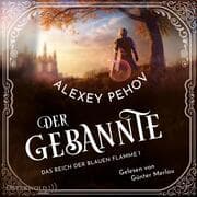 Cover von Der Gebannte (Das Reich der blauen Flamme 1)