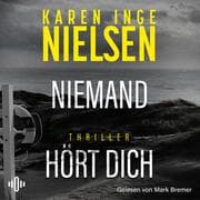 Cover von Niemand hört dich (Grenzland 1)