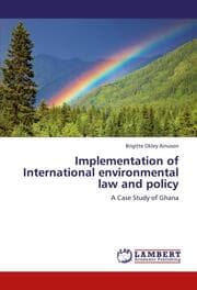 Cover von Implementation of International environmental law and policy