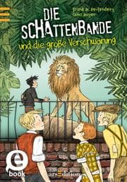 Cover von Die Schattenbande und die große Verschwörung (Schattenbande 4)