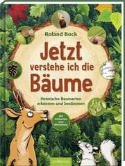 Cover von Jetzt verstehe ich die Bäume