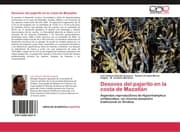 Cover von Desoves del pajarito en la costa de Mazatlán