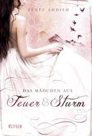 Cover von Das Mädchen aus Feuer und Sturm
