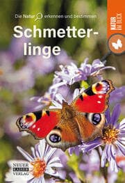 Cover von Schmetterlinge