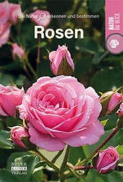 Cover von Rosen