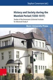 Cover von History and Society during the Mamluk Period (1250-1517)