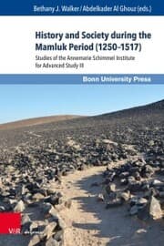 Cover von History and Society during the Mamluk Period (1250-1517)