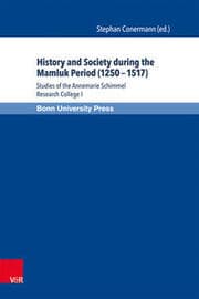 Cover von History and Society during the Mamluk Period (1250-1517)