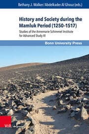 Cover von History and Society during the Mamluk Period (1250-1517)