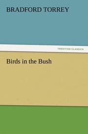 Cover von Birds in the Bush
