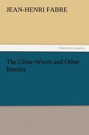 Cover von The Glow-Worm and Other Beetles
