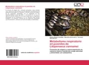 Cover von Metabolismo respiratorio en juveniles de Litopenaeus vannamei