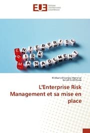 Cover von L'Enterprise Risk Management et sa mise en place