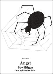 Cover von Angst bewältigen - aus spiritueller Sicht
