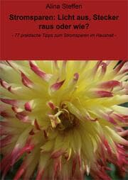Cover von Stromsparen: Licht aus, Stecker raus oder wie?