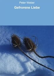 Cover von Gefrorene Liebe