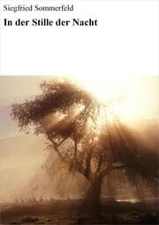 Cover von In der Stille der Nacht