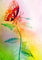 Cover von Die Raupe Frieda und Fridolin der Schmetterling