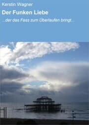 Cover von Der Funken Liebe