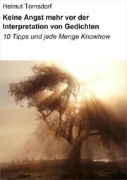 Cover von Keine Angst mehr vor der Interpretation von Gedichten