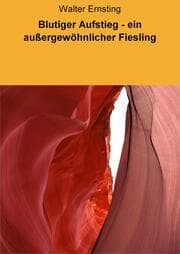 Cover von Blutiger Aufstieg - ein außergewöhnlicher Fiesling