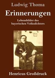 Cover von Erinnerungen (Großdruck)