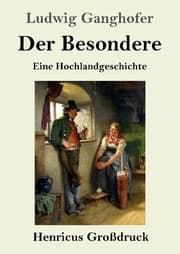 Cover von Der Besondere (Großdruck)