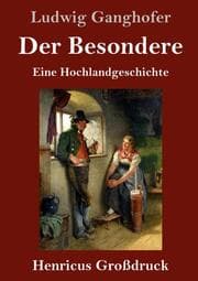 Cover von Der Besondere (Großdruck)