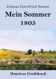 Cover von Mein Sommer 1805 (Großdruck)