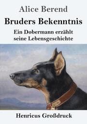 Cover von Bruders Bekenntnis (Großdruck)